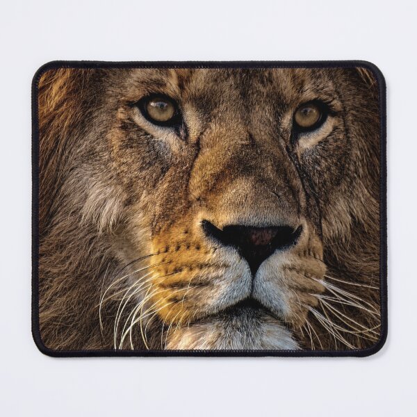 Item preview, Lion of Judah Triumphs - Rev. 15:3 designed and sold by IntheLightSola.