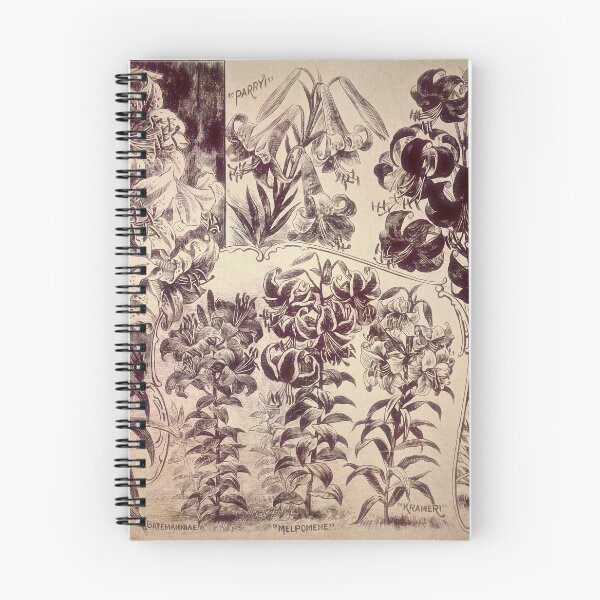 Item preview, Vintage Cottage Décor: 12 Grand Lilies designed and sold by The Real Victorian.