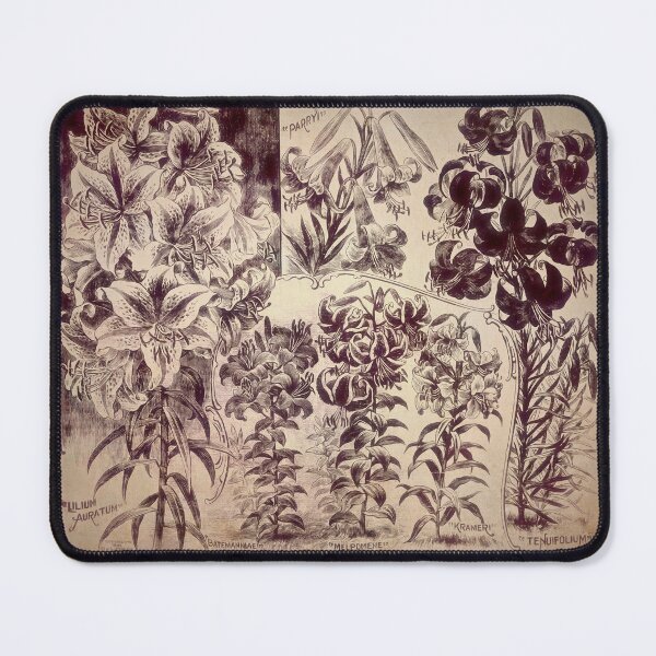 Item preview, Vintage Cottage Décor: 12 Grand Lilies designed and sold by The Real Victorian.