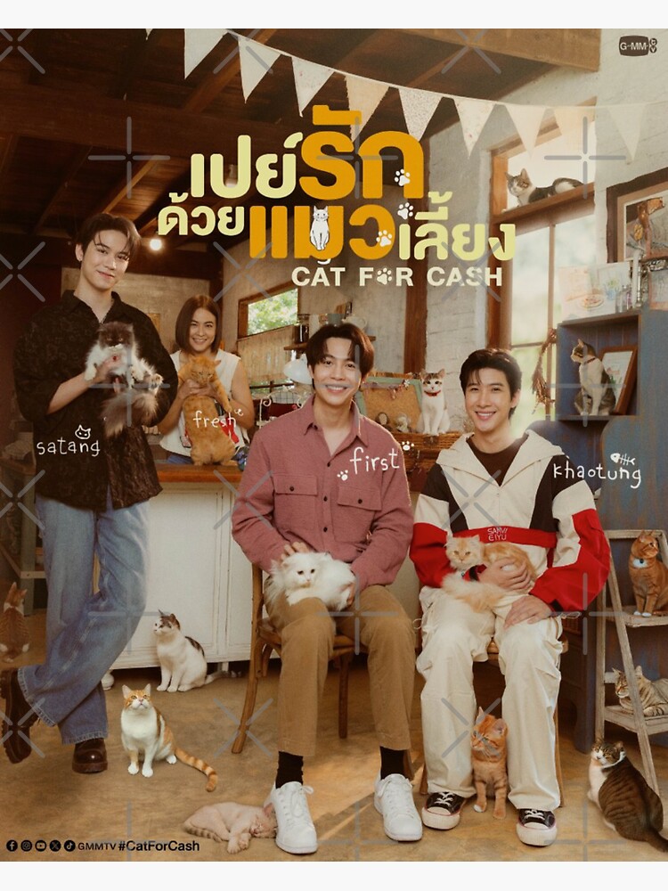 First Khaotung The heart killers Only friends Cat for cash เขาจ้าง