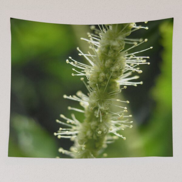 Item preview, Photo close-up blossom designed and sold by PM-Artistic.