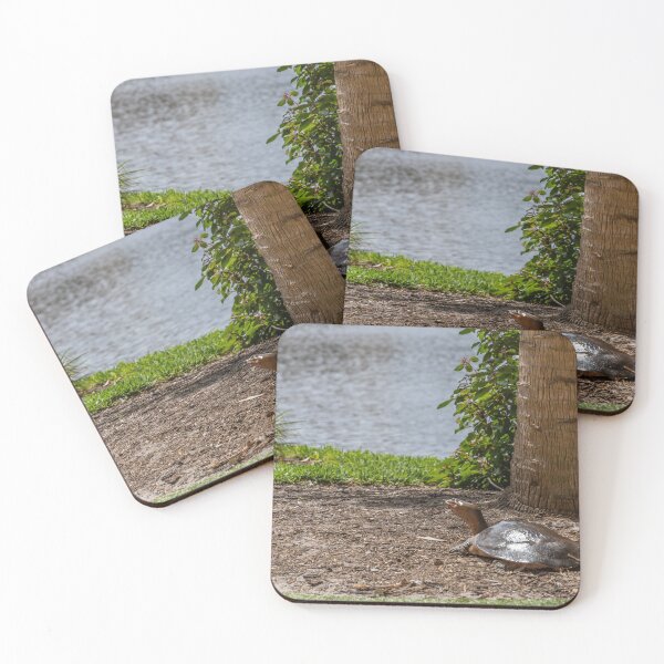 Item preview, Turtle by Bonnet Creek Waterside designed and sold by jrtwynam.