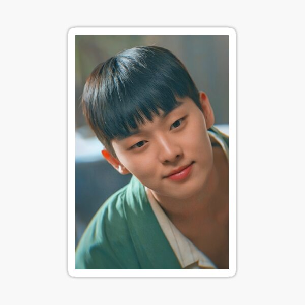 Aperçu de l'œuvre Choi Hyun Wook créée et vendue par 5starsshopby.