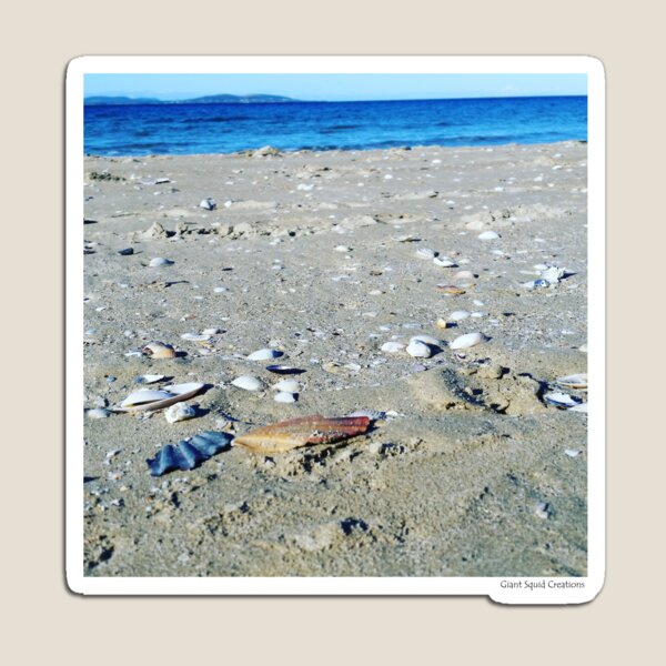 Shells by the Sea Magnet