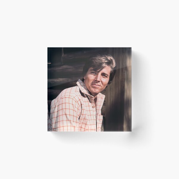 Item preview, Bobby Sherman Young designed and sold by sarzerdesigns.