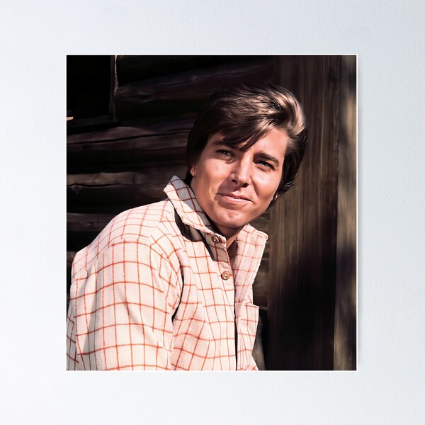 Item preview, Bobby Sherman Young designed and sold by sarzerdesigns.
