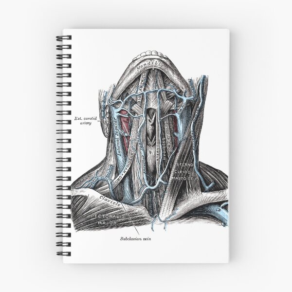 Item preview, Neck muscles and jugular. designed and sold by timothybeighton.