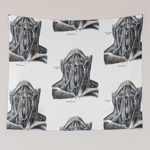 Item preview, Neck muscles and jugular. designed and sold by timothybeighton.