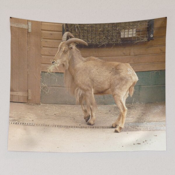 Item preview, Mongolian Goat designed and sold by Fearless-Fox.
