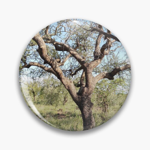Item preview, An old twisted tree from Kajiado, Kenya! designed and sold by Jamesk82.