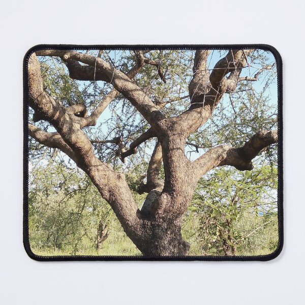 Item preview, An old twisted tree from Kajiado, Kenya! designed and sold by Jamesk82.