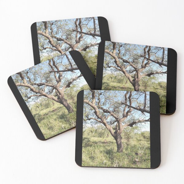 Item preview, An old twisted tree from Kajiado, Kenya! designed and sold by Jamesk82.