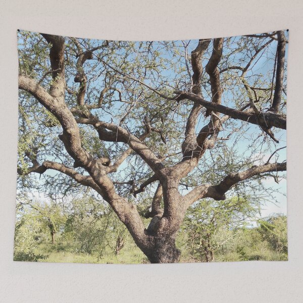 Item preview, An old twisted tree from Kajiado, Kenya! designed and sold by Jamesk82.