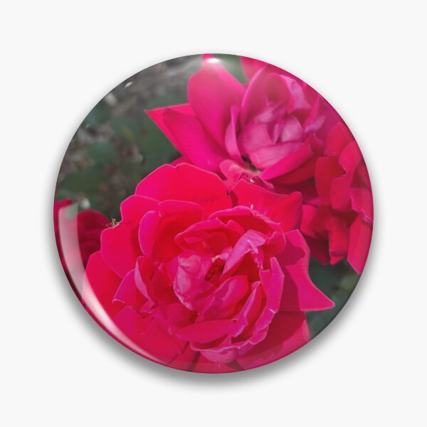 Item preview, Damask Rose designed and sold by cubanmama.