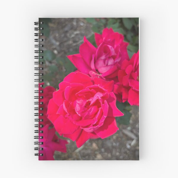 Item preview, Damask Rose designed and sold by cubanmama.