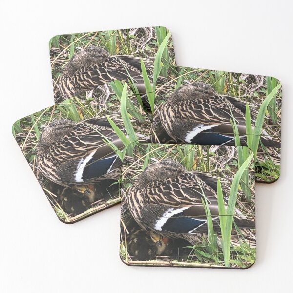 Item preview, Mother duck and ducklings resting on the riverbank designed and sold by The Countryside Cavern Gift Shop.