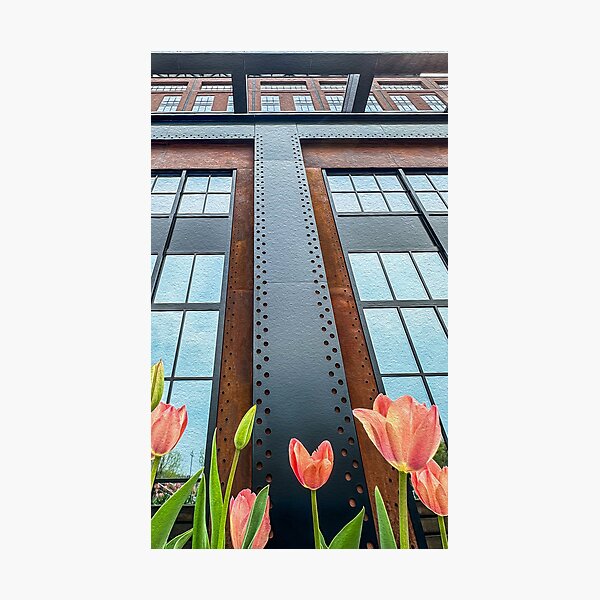 Tulips at Wind Creek Photographic Print