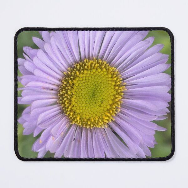 Item preview, Light purple flower designed and sold by Rhiwii.