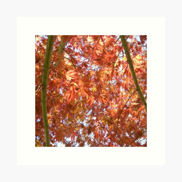 Item preview, Sunshine and Autumn Leaves designed and sold by TheRealmsBeyond.
