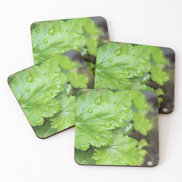 Item preview, drops on leaves designed and sold by earlseccentrics.