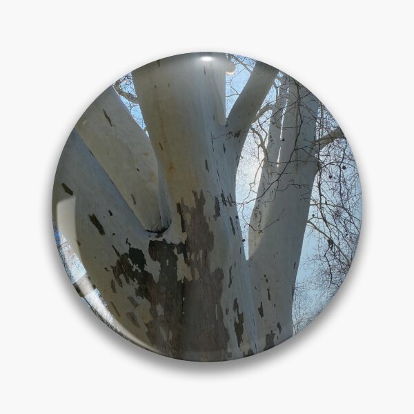 Item preview, sycamore tree , spring  designed and sold by sonaadalian.