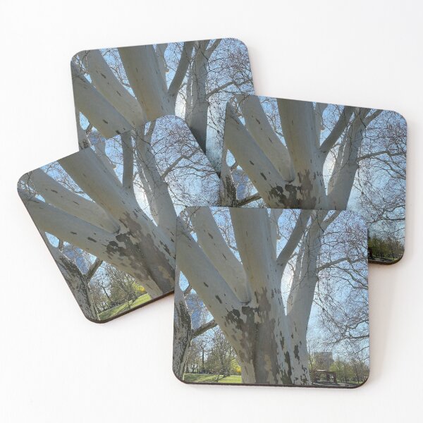 Item preview, sycamore tree , spring  designed and sold by sonaadalian.