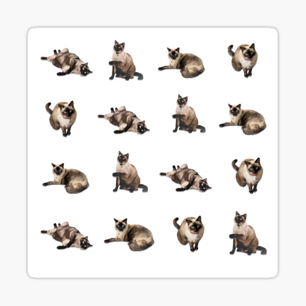 Suspicious Siamese cats textile pattern gift Sticker