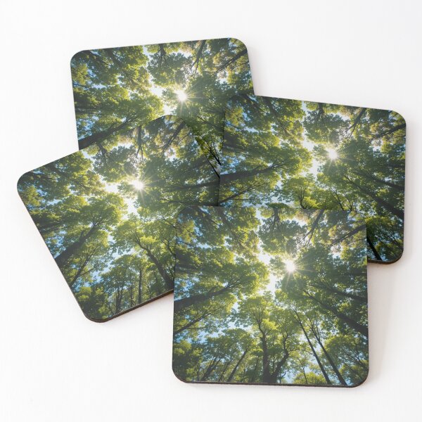 Item preview, Sunlight filters through the lush green canopy of a dense forest designed and sold by InezPhotography.