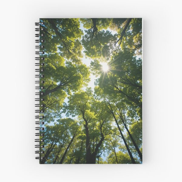 Item preview, Sunlight filters through the lush green canopy of a dense forest designed and sold by InezPhotography.