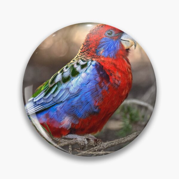 Item preview, Crimson Rosella designed and sold by andreisky.
