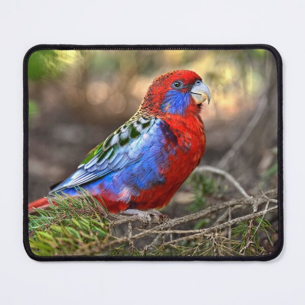 Item preview, Crimson Rosella designed and sold by andreisky.