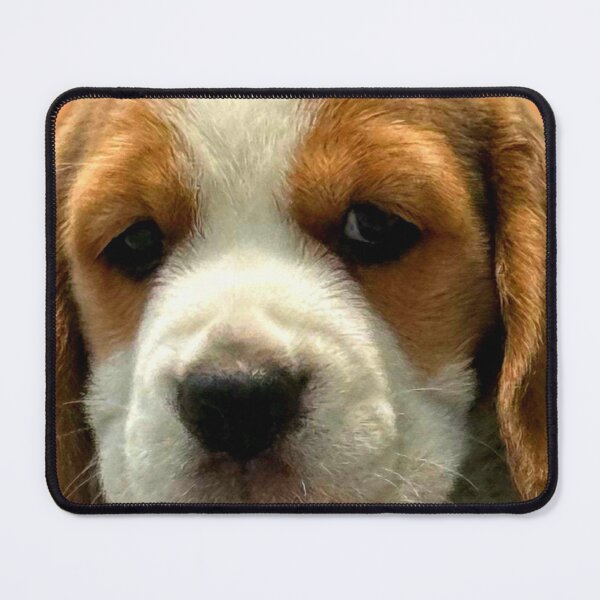 Item preview, Beagle Face designed and sold by ontological.