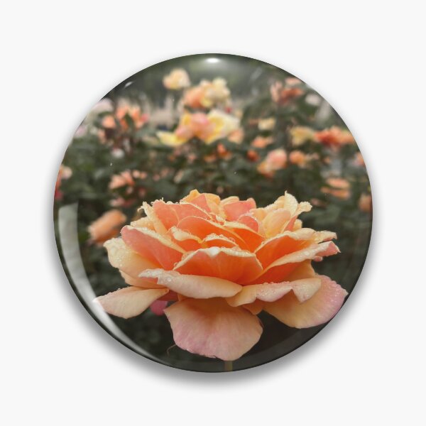 Item preview, Glowing Rose Garden  designed and sold by Paigemox.