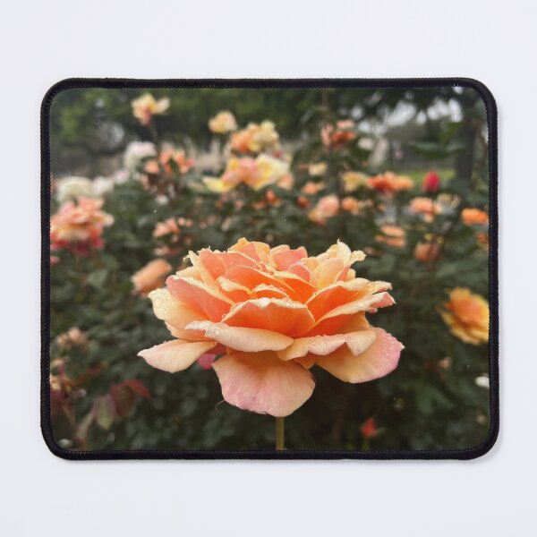 Item preview, Glowing Rose Garden designed and sold by Paigemox.