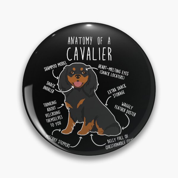 Item preview, Black and Tan Cavalier King Charles Spaniel Dog Anatomy designed and sold by Clara Hollins.