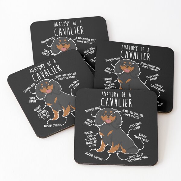 Item preview, Black and Tan Cavalier King Charles Spaniel Dog Anatomy designed and sold by Clara Hollins.