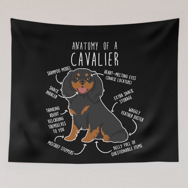 Artikelvorschau, Anatomie des schwarz-braunen Cavalier King Charles Spaniel entworfen und verkauft von Clara Hollins.