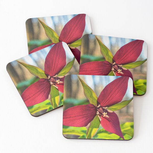Item preview, Red Trillium 1 designed and sold by Robert Alsop.