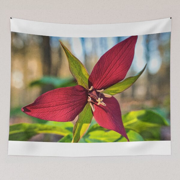 Item preview, Red Trillium 1 designed and sold by Robert Alsop.