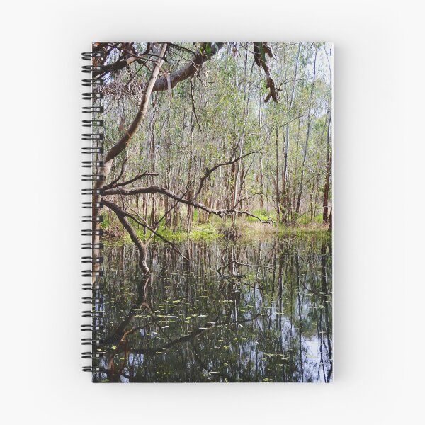 Item preview, Flooded Lagoon  designed and sold by D-GaP.