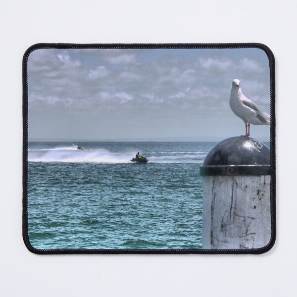 Item preview, Rye.... This is why it's called a Bird's Eye View of the Race. ! designed and sold by Larry Davis.