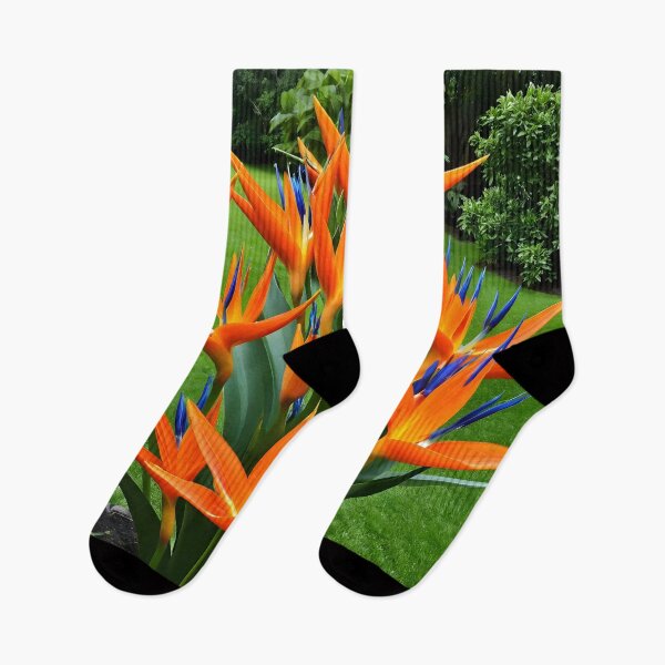 Item preview, Exotic Elegance: The Striking Bird of Paradise Flower designed and sold by HeartfulBloom.