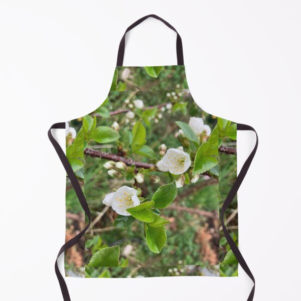 Item preview, First Cherry Blossoms designed and sold by Amanda1775.