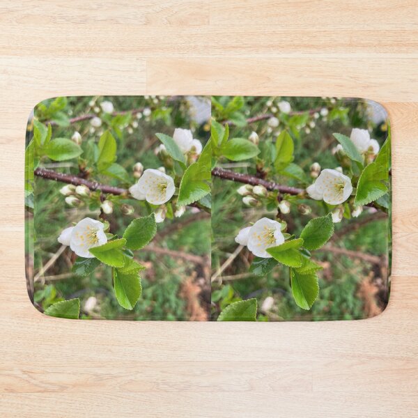 Item preview, First Cherry Blossoms designed and sold by Amanda1775.