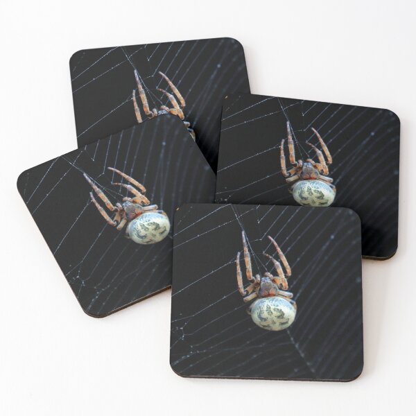 Item preview, Orb weaver designed and sold by Parks and X.