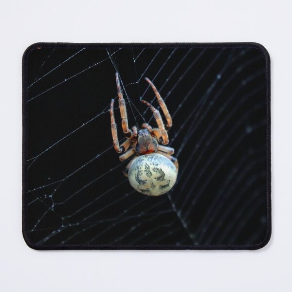 Item preview, Orb weaver designed and sold by Parks and X.