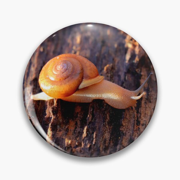 Item preview, Snail designed and sold by Parks and X.
