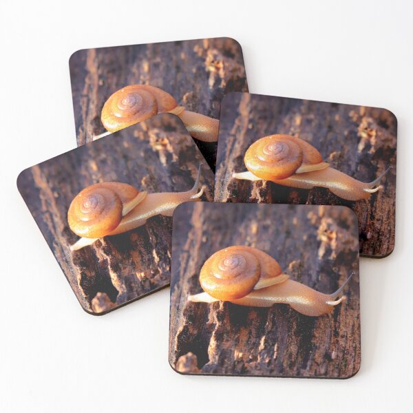 Item preview, Snail designed and sold by Parks and X.