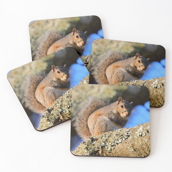 Item preview, Squirrel  designed and sold by Parks and X.