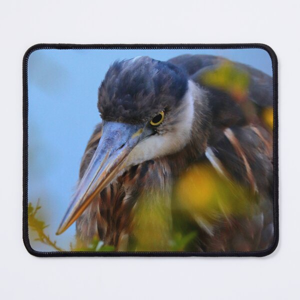 Item preview, Great Blue Heron  designed and sold by Parks and X.